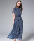  Printed Chiffon Maxi Dress